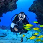 TOP 10 SCUBA DIVING SPOTS IN THE WORLD