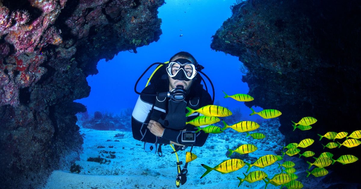 TOP 10 SCUBA DIVING SPOTS IN THE WORLD