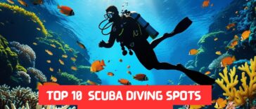 TOP 10 SCUBA DIVING SPOTS IN THE WORLD