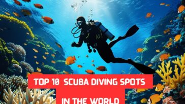 TOP 10 SCUBA DIVING SPOTS IN THE WORLD